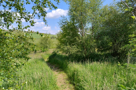 Property Image 40