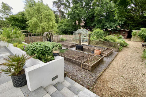 Garden / raised veg beds