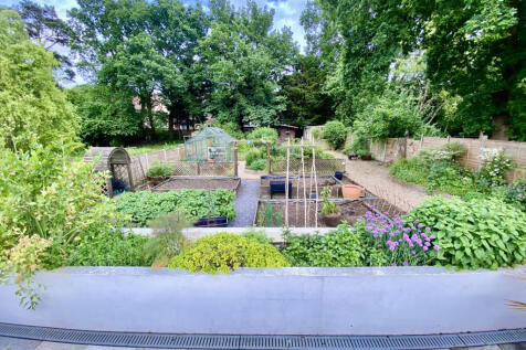View of the garden from patio