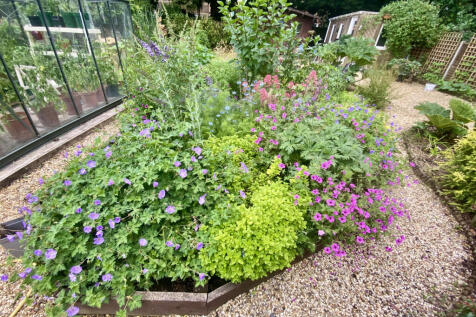 Central wildlife bed