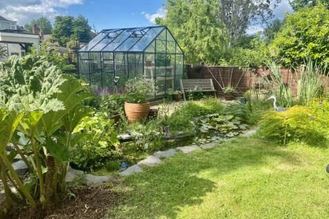 Greenhouse and pond area