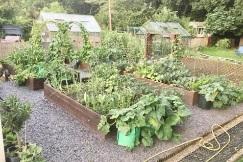 Raised veg bed area