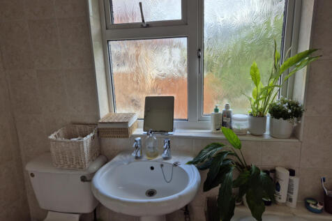 Bathroom sink and toilet