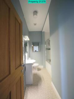 Bathroom with shower over the bath