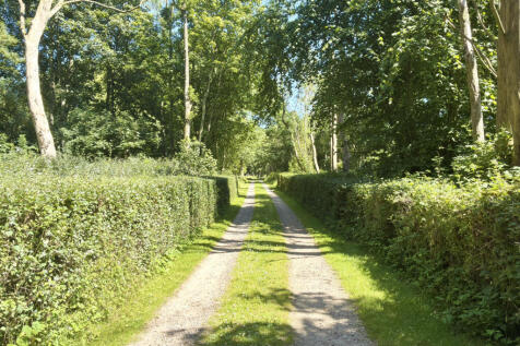 Property Image 39
