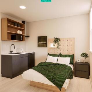 Cozy Studio