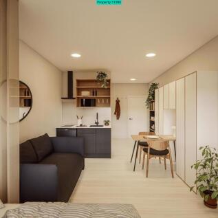 Roomy Studio