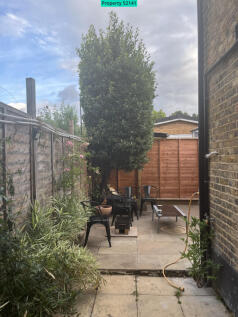 The Back Garden