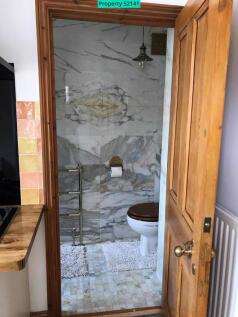 The Shower Room on the ground floor 