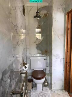 The Shower Room on the ground floor 