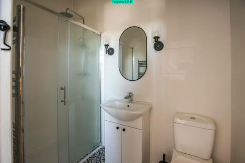 The Shower Room in the Master Bedroom