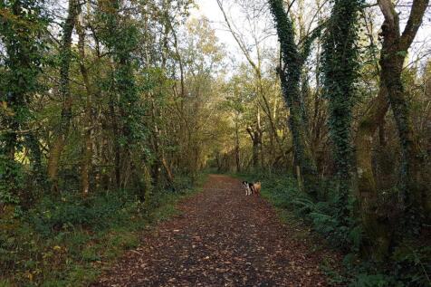 local walk