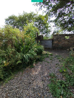 Garden area