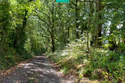 Council lane