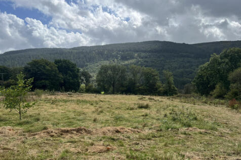 north field from treeline