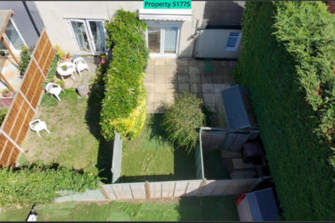 Back garden
