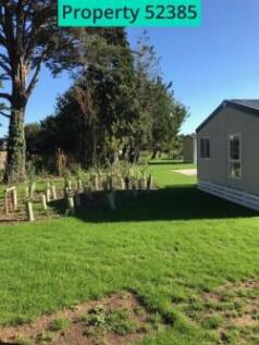 Communal garden 2
