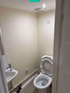 Cellar Bathroom