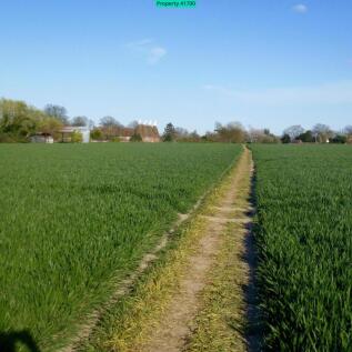 Countryside walks from the back gate