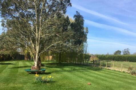 Gardens For Main House