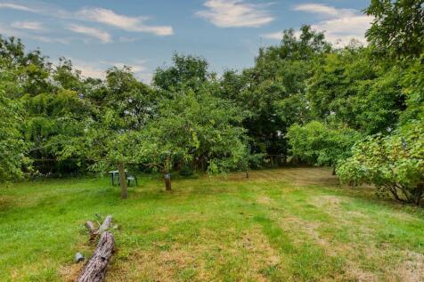 Garden 1.jpg