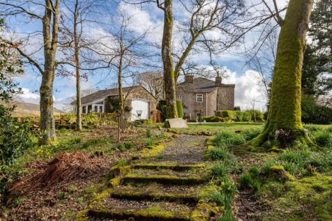 Wilding Garden