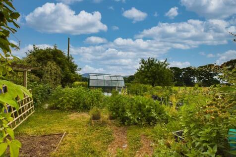 Vegetable Gardens