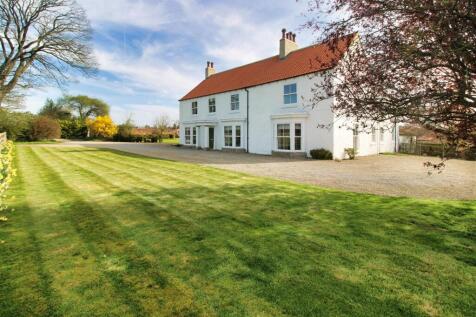 Front Garden and Driveway.jpg
