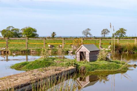 Wildlife Pond