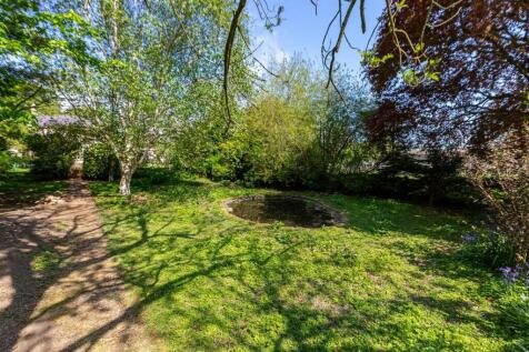 Wild Meadow Garden