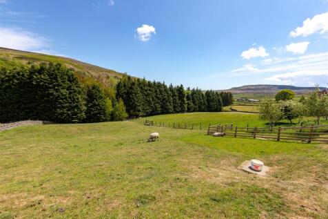 Paddock