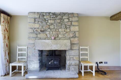 Dining/ Living Fireplace