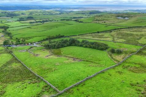 DJI_20250709135346_0562_D_3_D_4_D_5_D_6_D_Detailed
