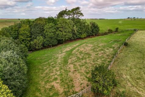 Middle Paddock