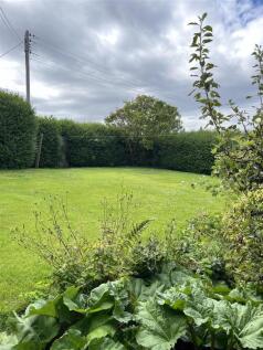 Back garden 1.jpeg