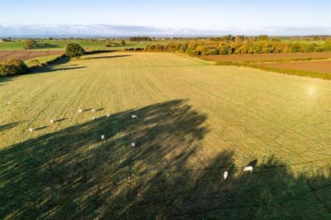 Watson Field Farm Field West