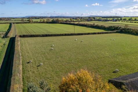 Watson Field Farm Paddock and Arable Field East
