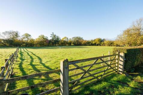 Watson Field Farm Paddock
