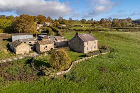 Garden and Buildings