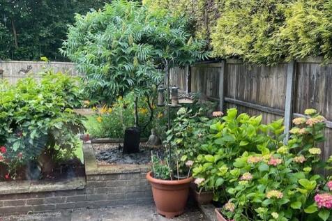 Garden in the Summer
