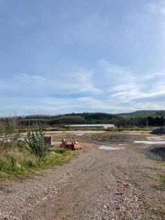 IMG-20240220-WA0005.jpg