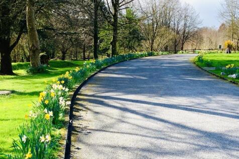 Drive in Spring
