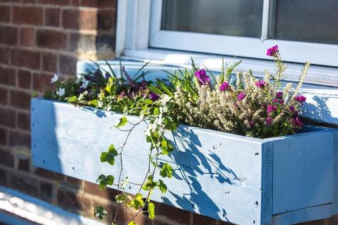 Window box