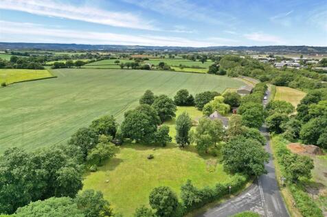 deer copse2025DEER COPSE (12)13.jpg