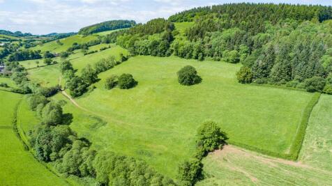 DJI_0232.jpg