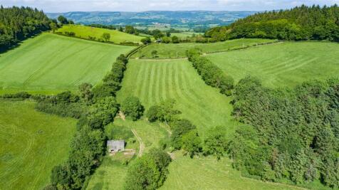 DJI_0246.jpg