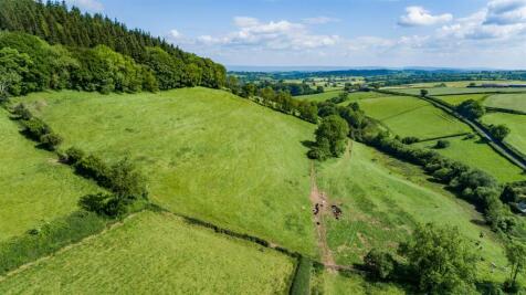 DJI_0247.jpg