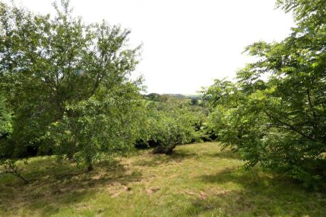 DSC_1024.JPG