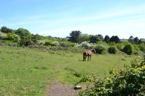 DSC_0738 - Copy.JPG
