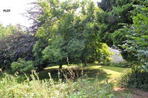 DSC_0242 - Copy.JPG